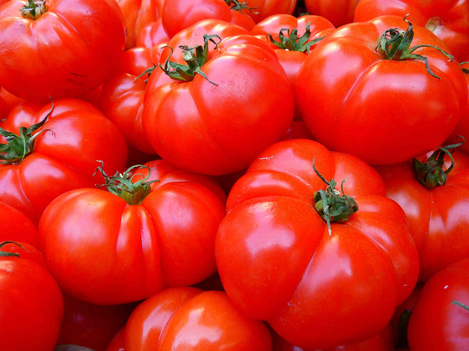 tomatoes-190308-72